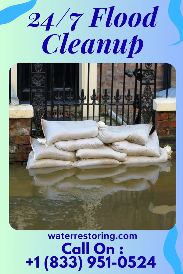 24/7 Flood Cleanup in North Springfield, VA