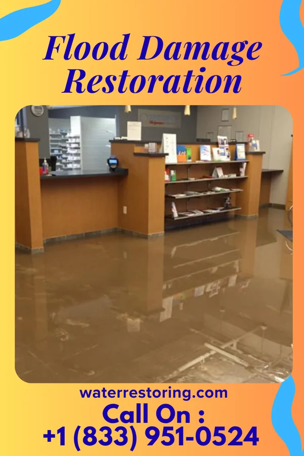 Flood Damage Restoration in North Springfield, VA