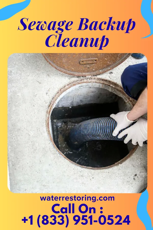 Sewage Backup Cleanup in North Springfield, VA