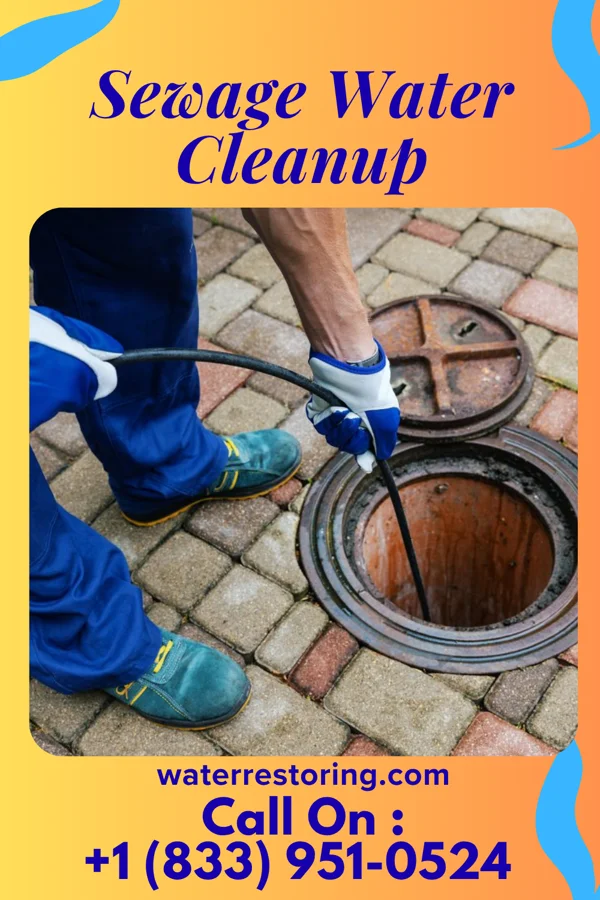 Sewage Water Cleanup in North Springfield, VA