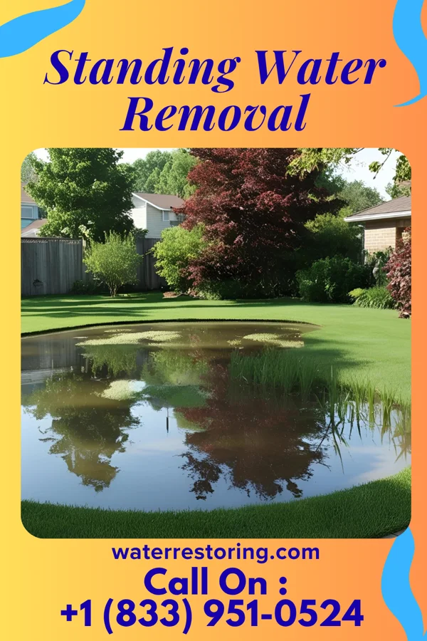Standing Water Removal in North Springfield, VA